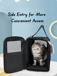 Load image into Gallery viewer, Greenfield Luxury Pet Carrier
